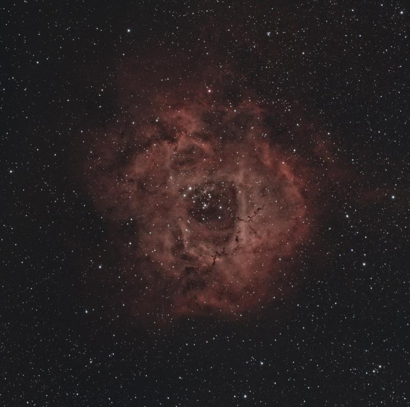 NGC2238 - La Rosette 800px_64_1707944902NGC2238-traitement4